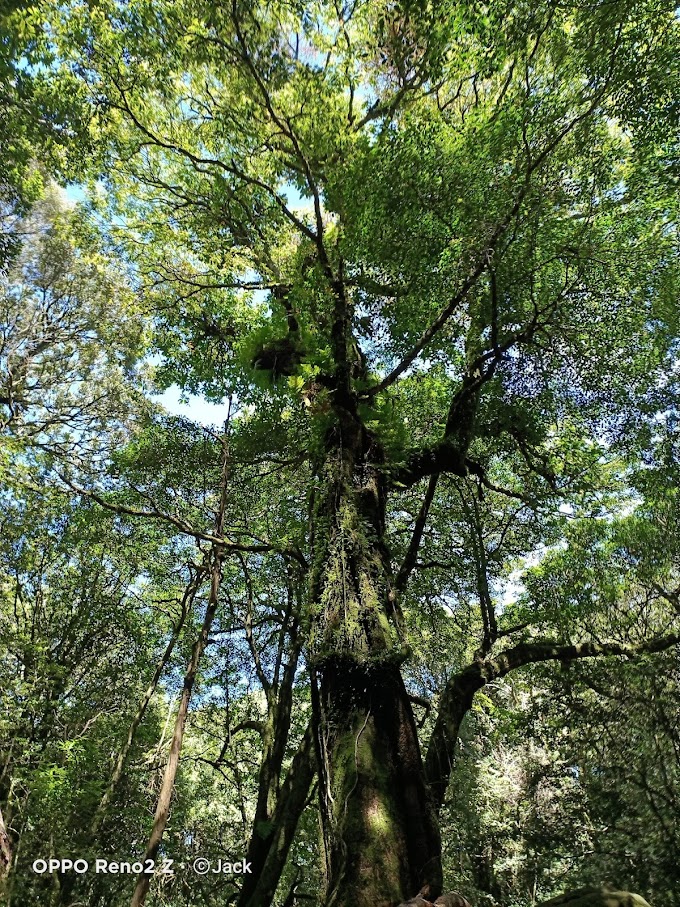 瘋登山》小百岳一覽表，原來這些小百岳你都走過