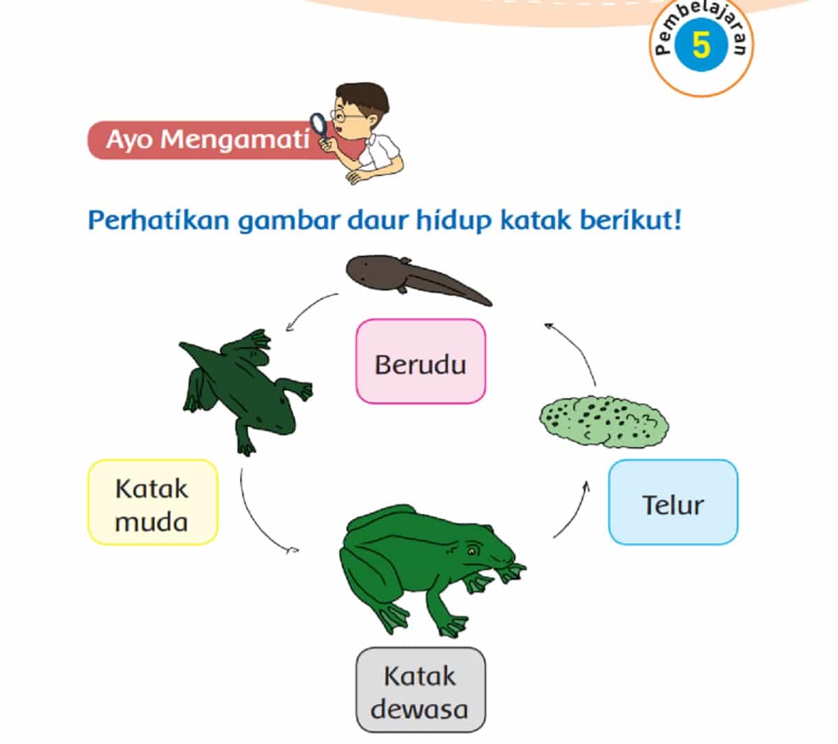 KUNCI JAWABAN TEMA 1 KELAS 3 SD HAL 132