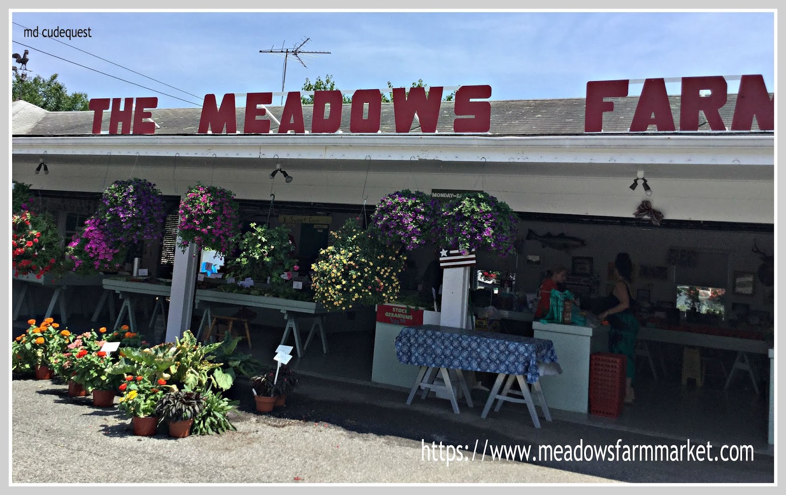 EverythingCroton A QUICK TRIP TO THE MEADOWS FARM, JULY 2019