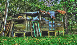 abandoned coop chicken farmville a95 camera
