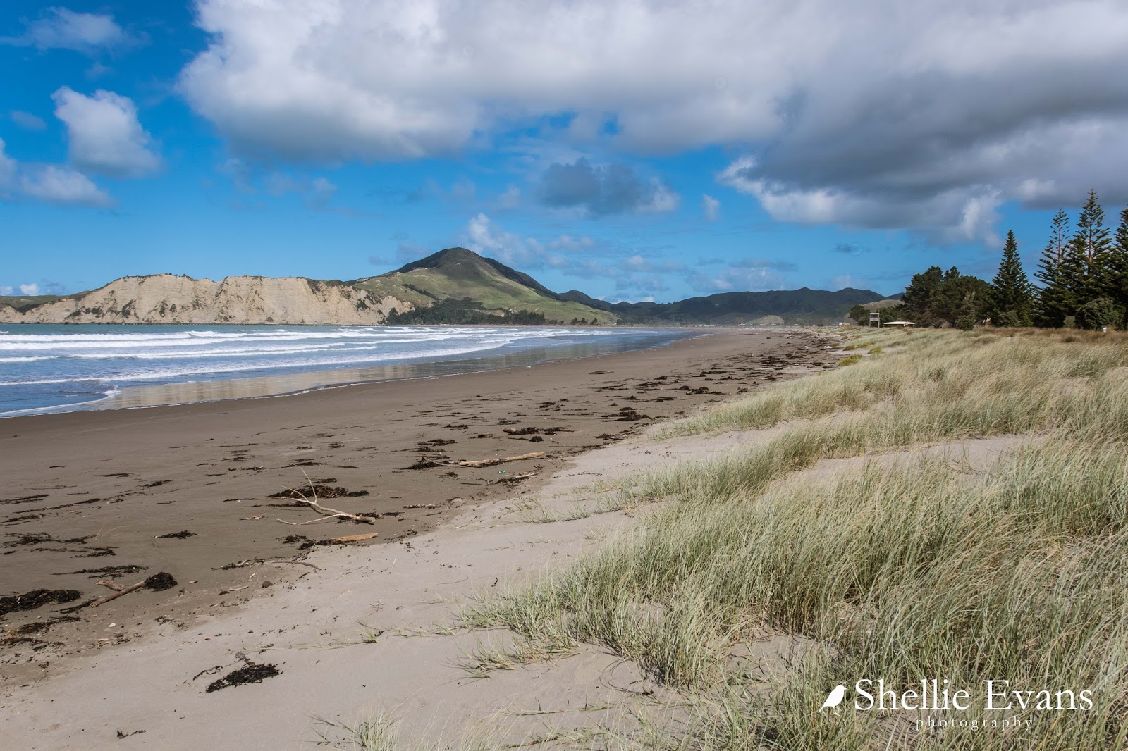 Two Go Tiki Touring Beach Hop North Only in Tolaga Bay