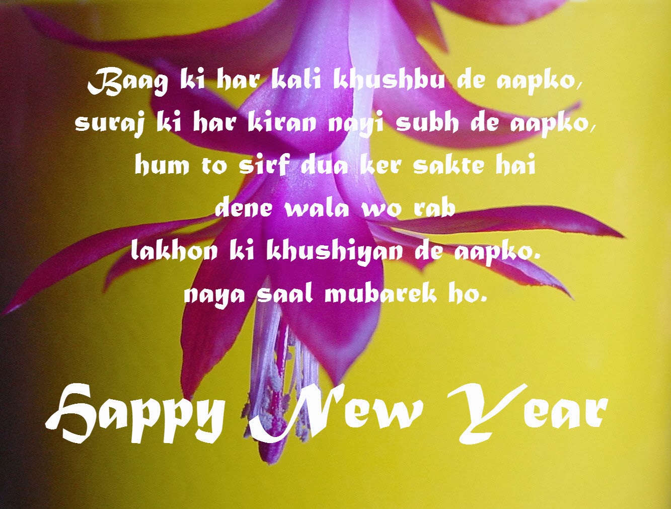 New Year Wishes For Lovers in Hindi Best New Year Wishes
