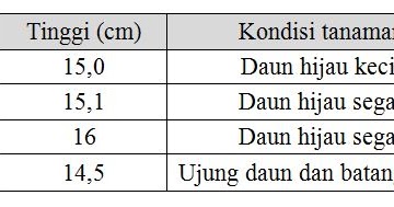 Sekelompok siswa kelas XII melakukan percobaan tentang pengaruh jumlah