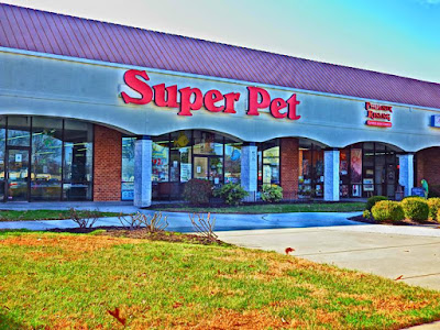 reptile shop salisbury