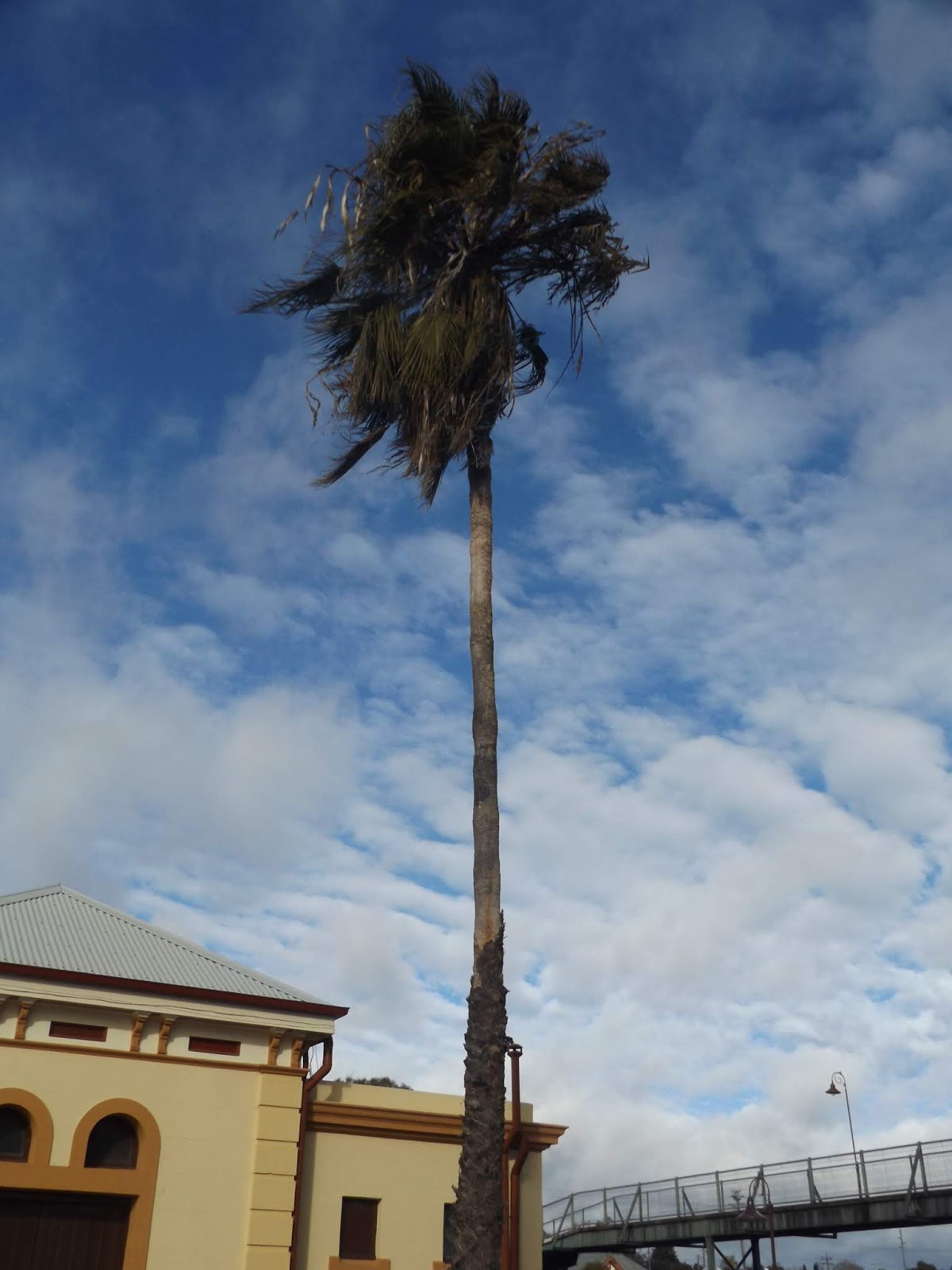 Building Wagga Wagga Wagga Station Building introduction