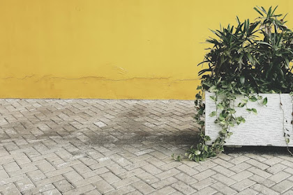 Fungsi Utama dan Manfaat Menggunakan Paving Block