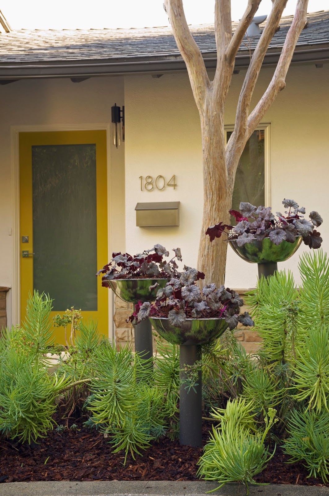 danger garden Potted, the book (a review and a giveaway)