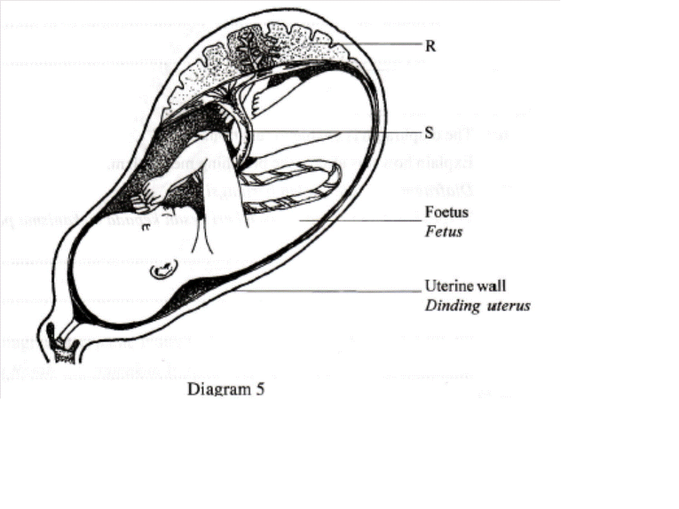 Through my eyes: 13. Reproduction and Growth