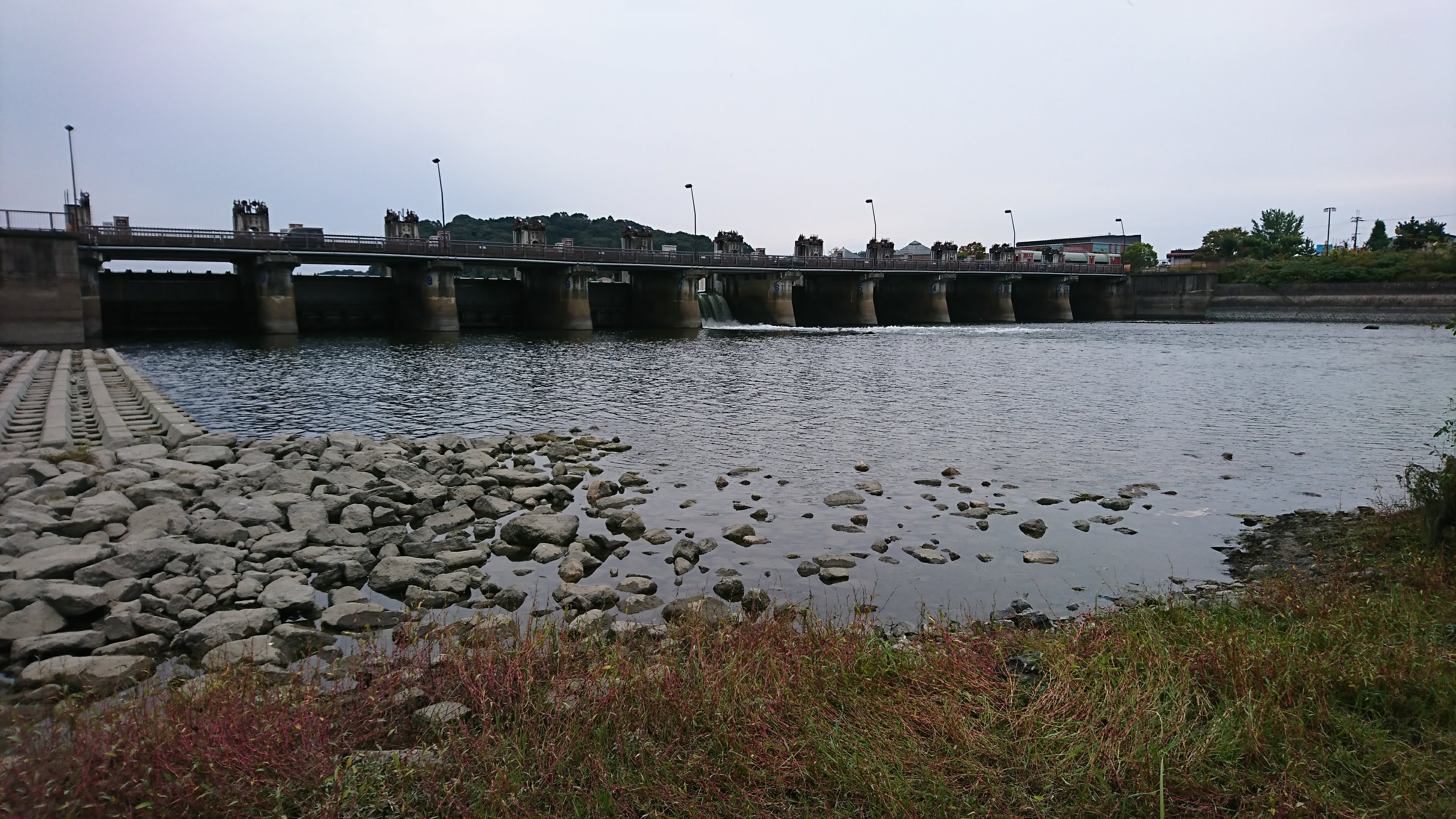 太刀狛の釣り奮闘日和 2020年初めての、瀬田川洗堰の全開放流 魚は岸際へ