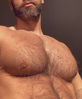 Daddy Bears & Hairy Hunks for the Furryfan