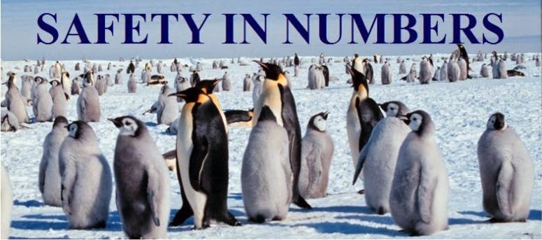 Counterfeit Kit Challenge: May Challenge #2: Safety in Numbers