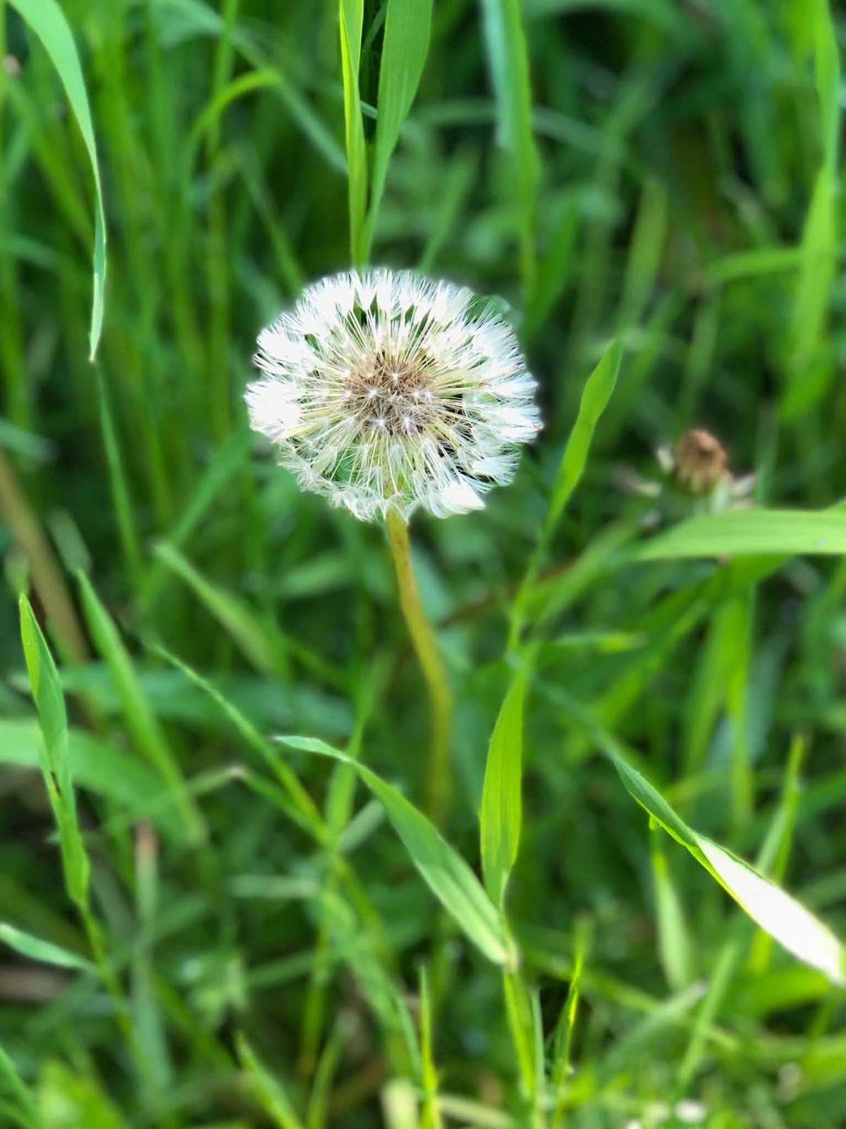 1. CRACOVIA (LA PEQUEÑA POLONIA). ALOJAMIENTO EN KACZYNA Viajar Sin