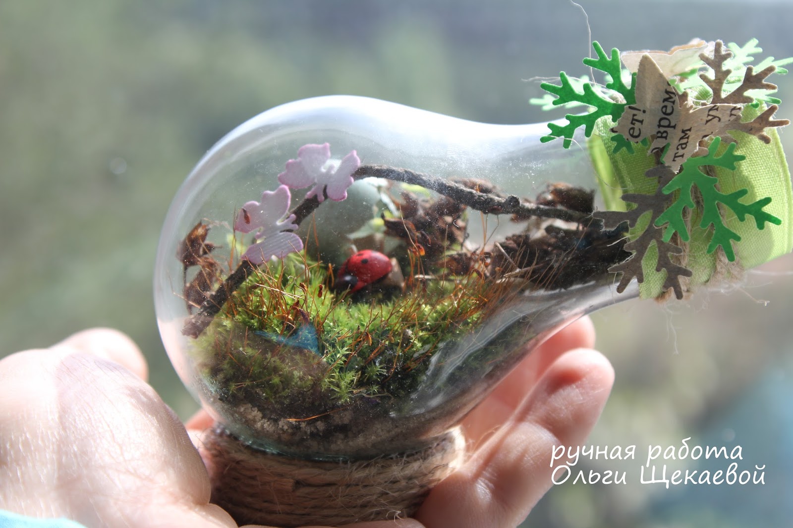 Сайт мини мир. Флорариумы на 8 марта. Сайт мини мир. Лес в миниатюре. Сайт мини мир.