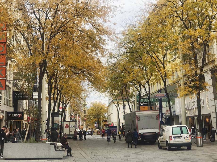 autumn vienna
