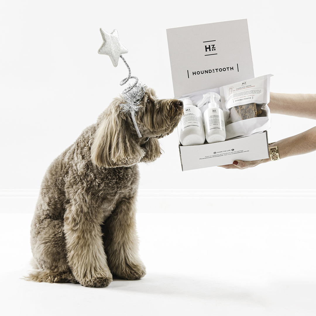 Top 20 Christmas Gifts for Aussie Dogs in 2019 Australian Dog Lover