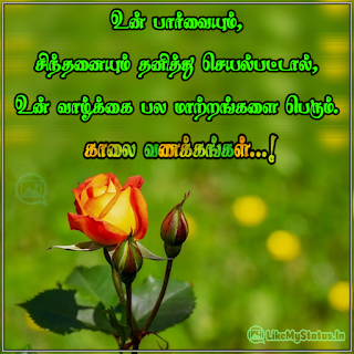 உன் பார்வையும், சிந்தனையும் தனித்து செயல்பட்டால், உன் வாழ்க்கை பல மாற்றங்களை பெரும். காலை வணக்கங்கள்...!