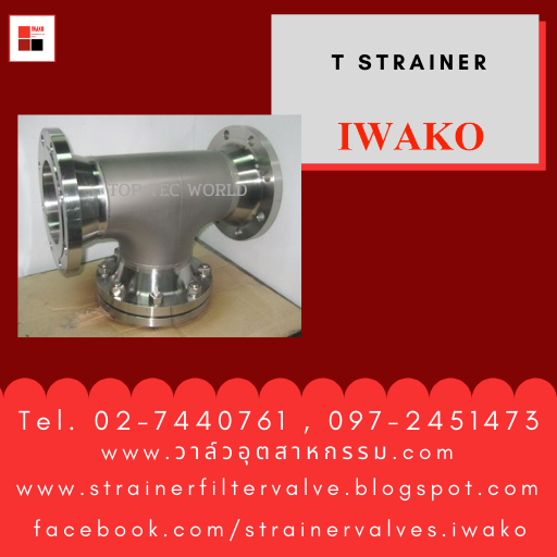 StrainerFiltervalve T Strainer Filter