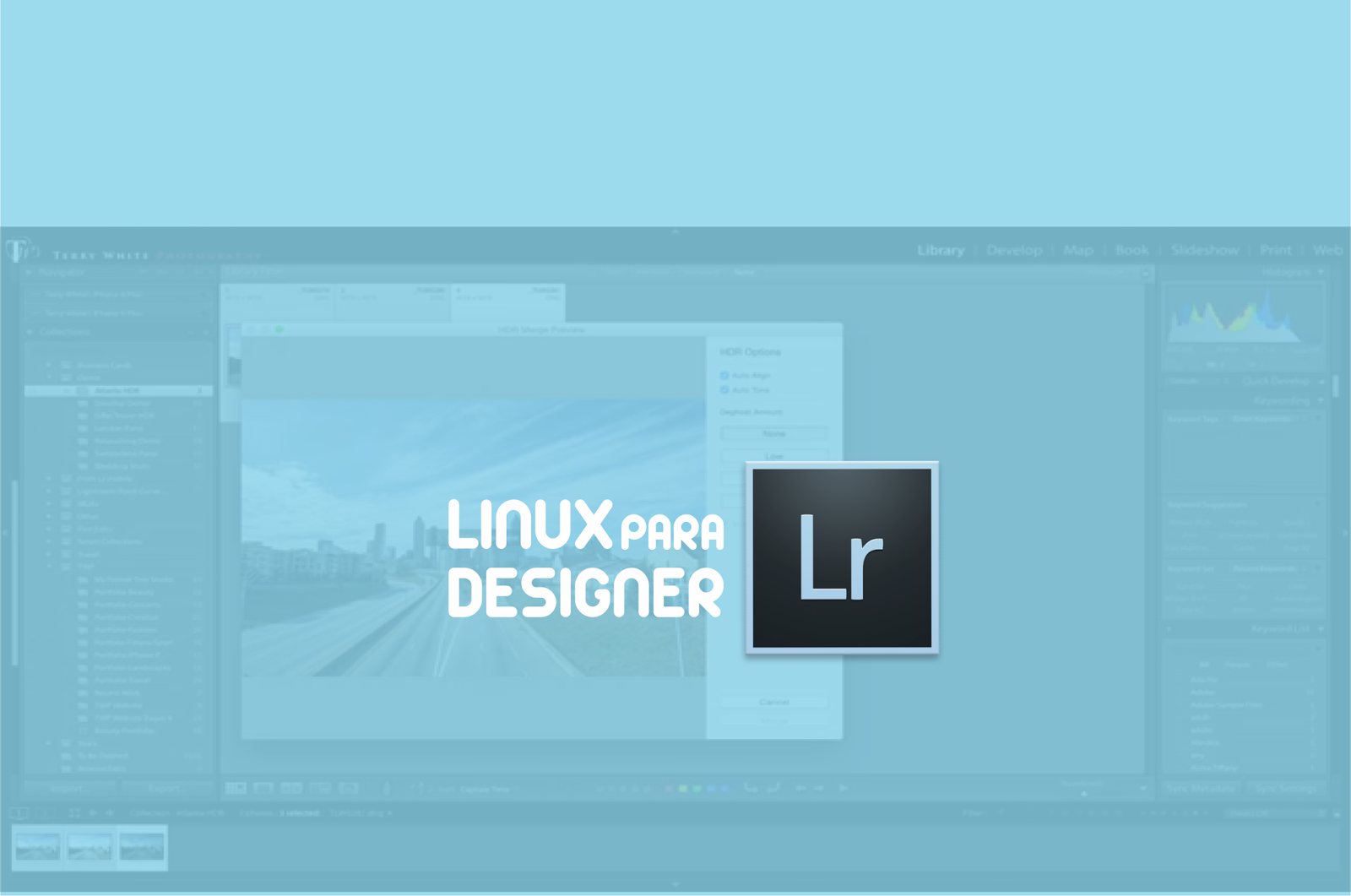 Instalação do Lightroom CC Linux Para Designer