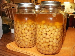 beans canning dry soaking without pressure garbanzo canned dried vegetables quarts recipes jars water quart finished homestead