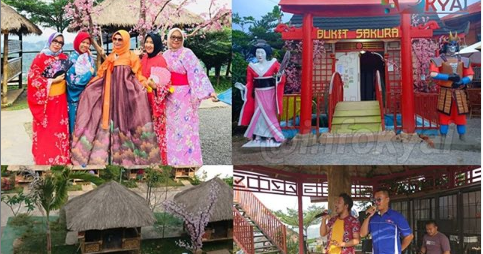 Keindahan Bukit Sakura Kemiling Bandar Lampung - Berita ...