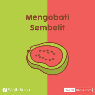 Manfaat Buah Jambu Biji untuk Kesehatan, Favorit Siapa Nih? Manfaat Buah Jambu Biji untuk Kesehatan, Favorit Siapa Nih?