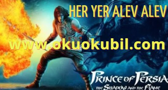 Prince of Persia Shadow 2.0.2 Her Yer Alev Flame Hileli Mod Apk İndir 2020