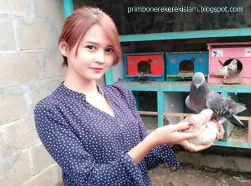 14 Arti Mimpi Burung Menurut Primbon Jawa Erek Erek 2d 3d 4d Dan Islam Primbon Erek Erek Islam 14 Arti Mimpi Burung Menurut Primbon Jawa Erek Erek 2d 3d 4d Dan Islam Primbon Erek Erek Islam
