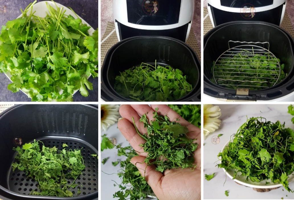 Dried Coriander Leaves in Air FryerHow to Dry HerbsEVENLY DEHYDRATED