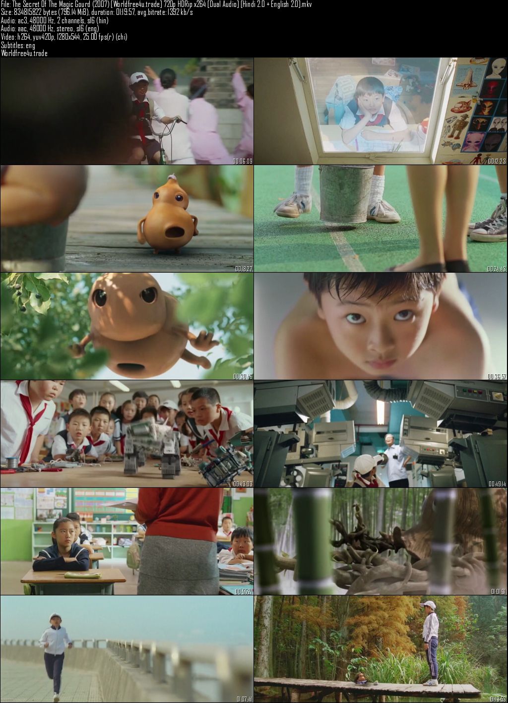 Le Secret De La Gourde Magique The Secret Of The Magic Gourd (2007) HDRip 720p Dual Audio In Hindi