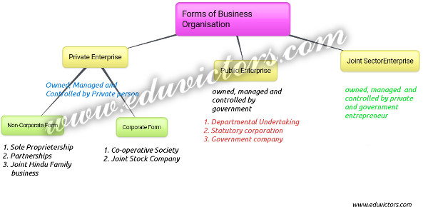 Forms Of Business Organisation Chart