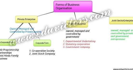 case studies of forms of business organisation
