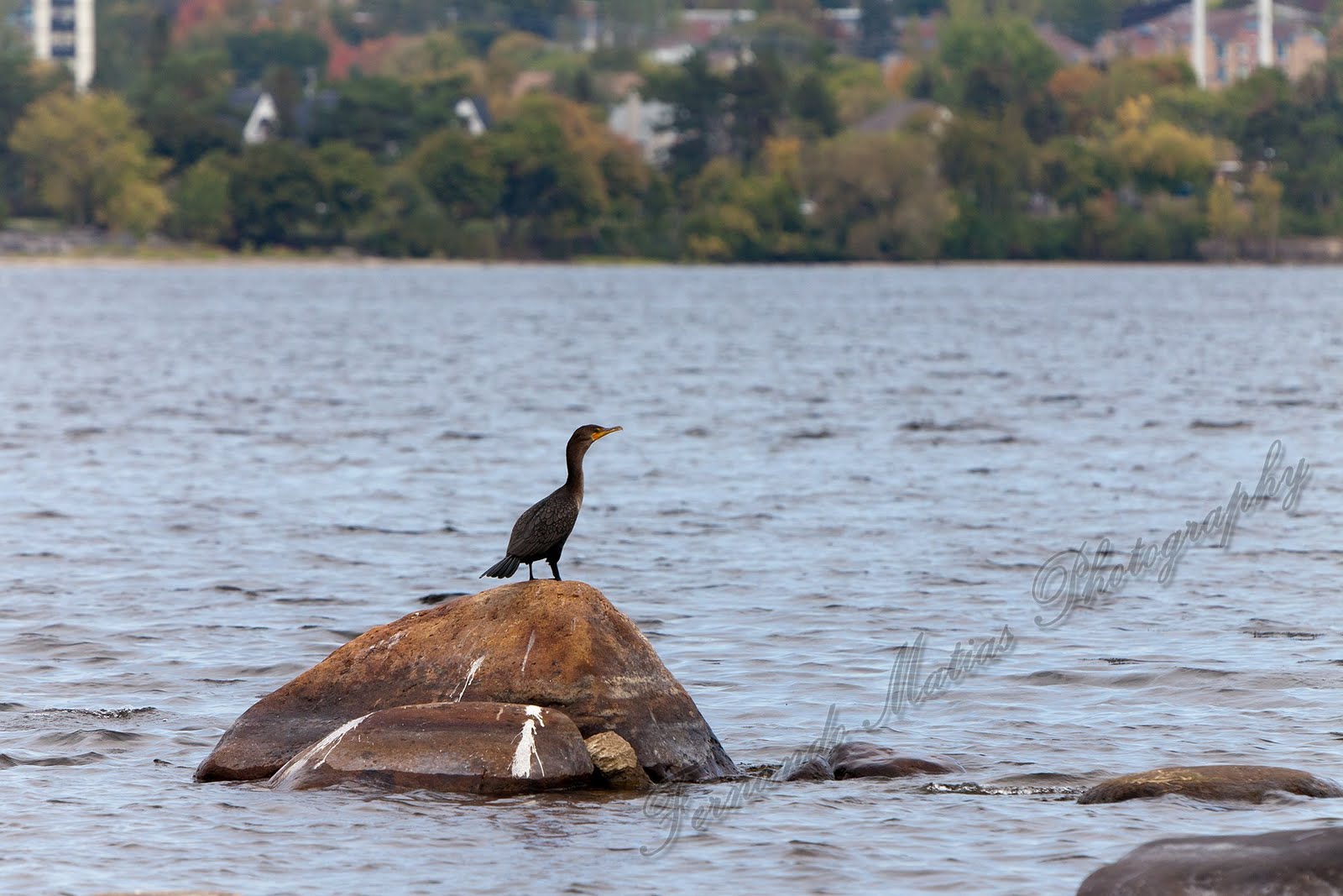 Fernando Matias Photography Ottawa Ontario Ottawa Wedding