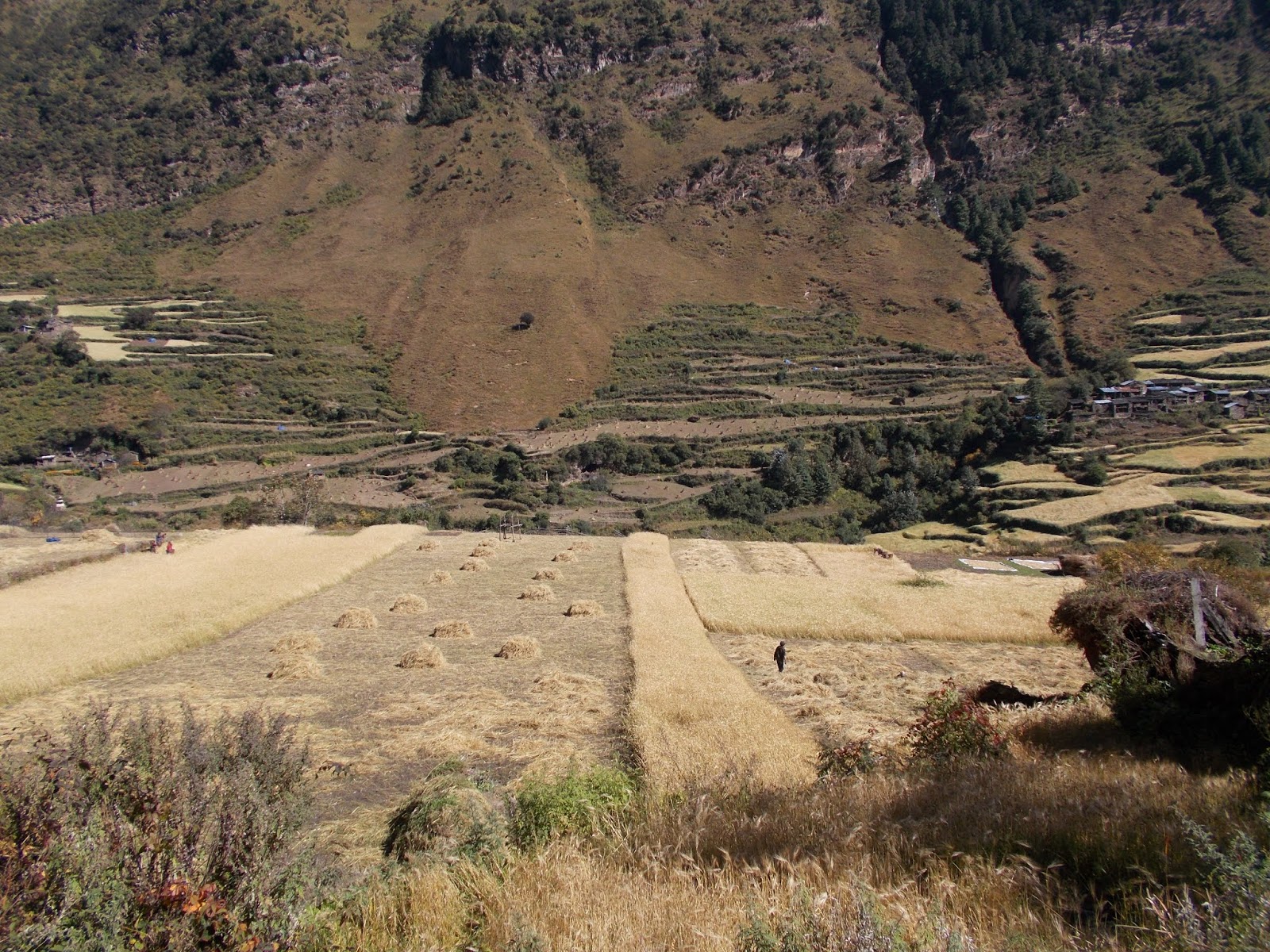 Вокруг Манаслу, долина Цум, Нар-Пу. Непал 2017.