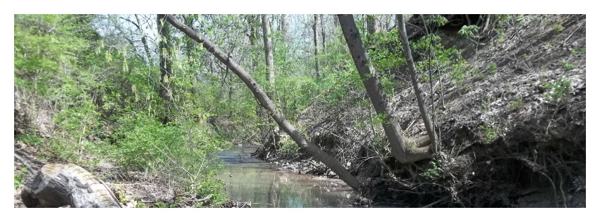 View of Creek in Spring for header Facebook Google+