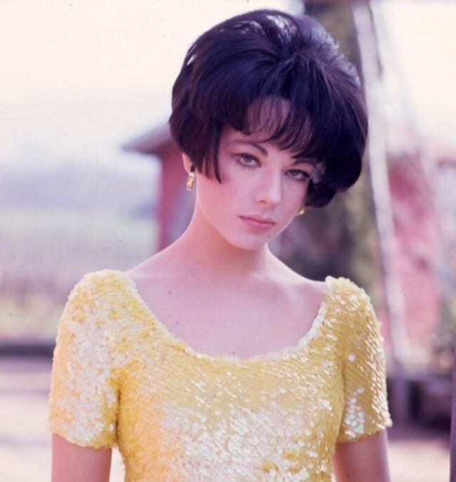 марилу толо в молодости. актриса марилу толо. актриса марилу толо. марилу толо шахерезада. марилу толо сейчас.