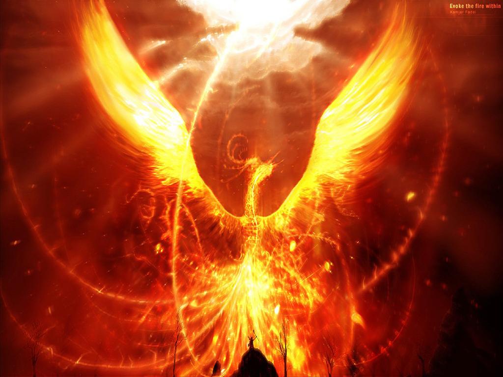 fenix.jpg