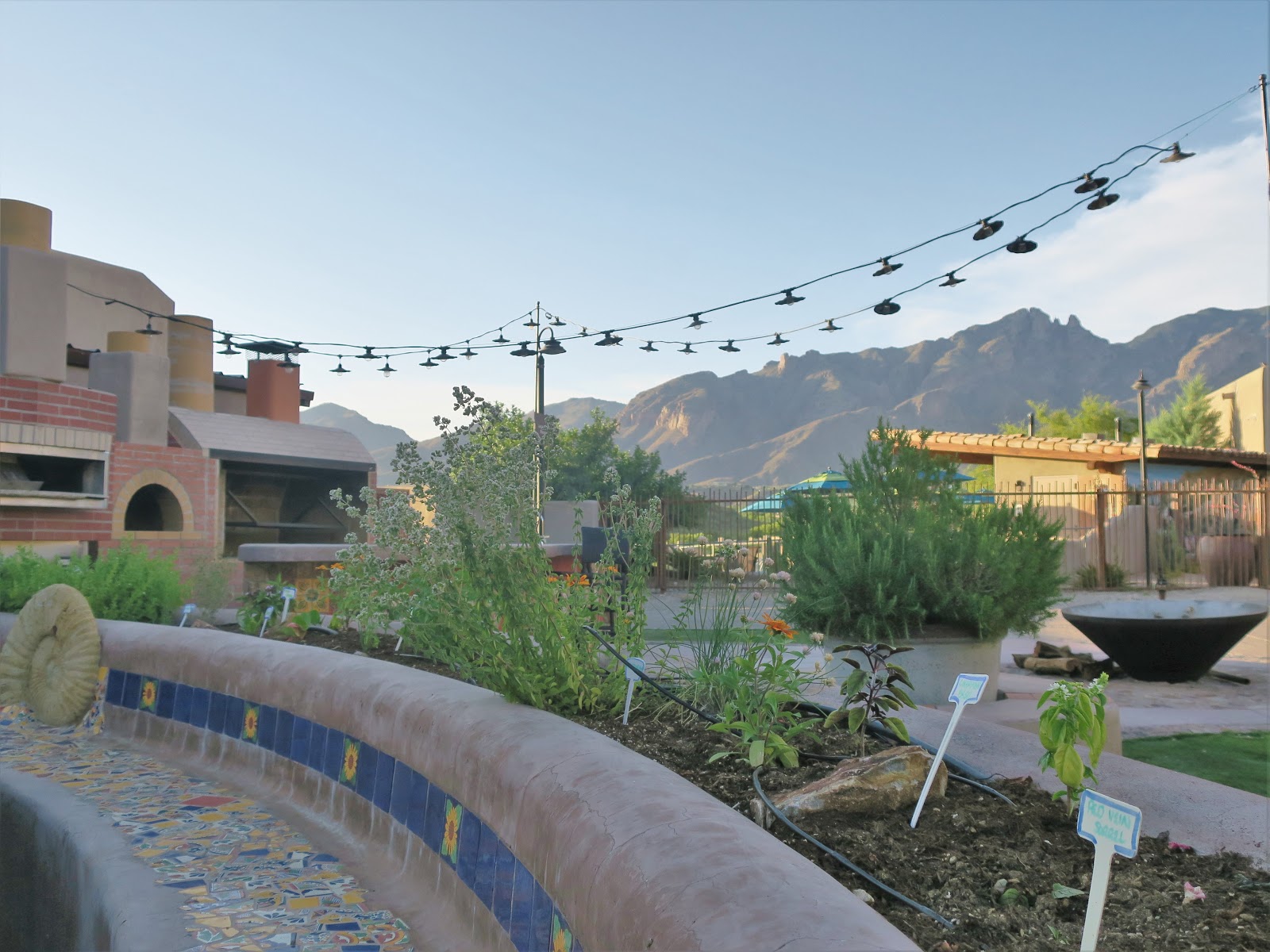 Living Rootless Tucson, AZ Sunset at Hacienda del Sol