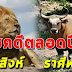 8 ร า ศี เผชิญพบโชค ร่ำรวยเงินทองวาสนา หมดสิ้นภาระ โชคดีตลอดปี 6 3