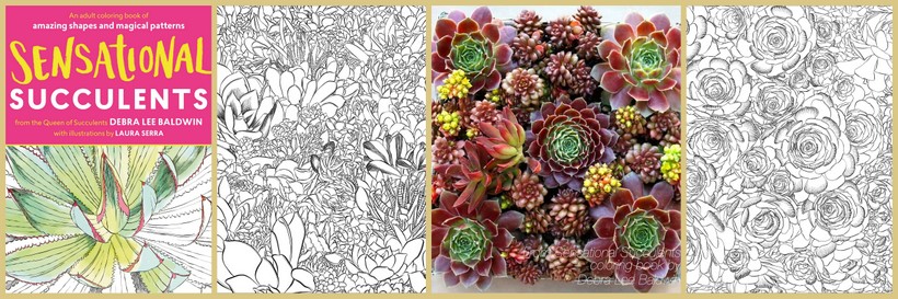 Sensational Succulents Debra Lee Baldwin y Laura Serra