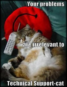 Animal Trash Talking - Lolcats - lol, cat memes, funny cats, funny cat  pictures with words on them, funny pictures, lol cat memes