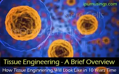 This Is How Tissue Engineering - A Brief Overview Will Look Like In 10 Years Time.(#ipumusings)