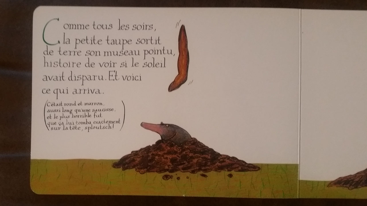 Qui A Fait Caca Sur La Taupe Histoire : De la petite taupe qui voulait savoir qui lui avait fait sur