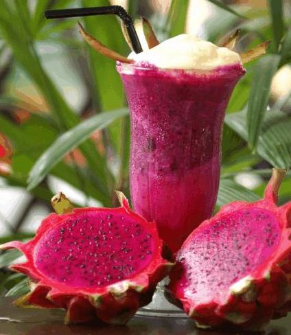 Procedure Text How To Make Red Dragon Fruit Juice Recipe Our Smart Experience