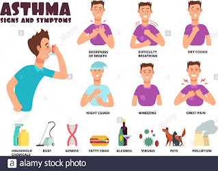 Saans Phoolna Ki Wajah - INDUSPRESS.COM Dama Ka Ilaj | Asthma Treatment at Home | Asthma Ka ilaaj