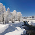 Winter 2013 Wallpapers | Winter Beautiful Wallpapers | Exclusive collection of Winter wallpapers