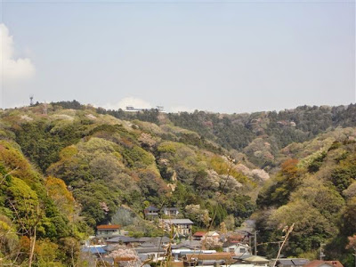 ���q�A���v�X