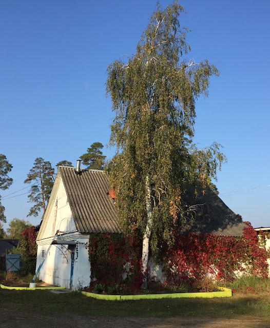 Green town of Kostino
