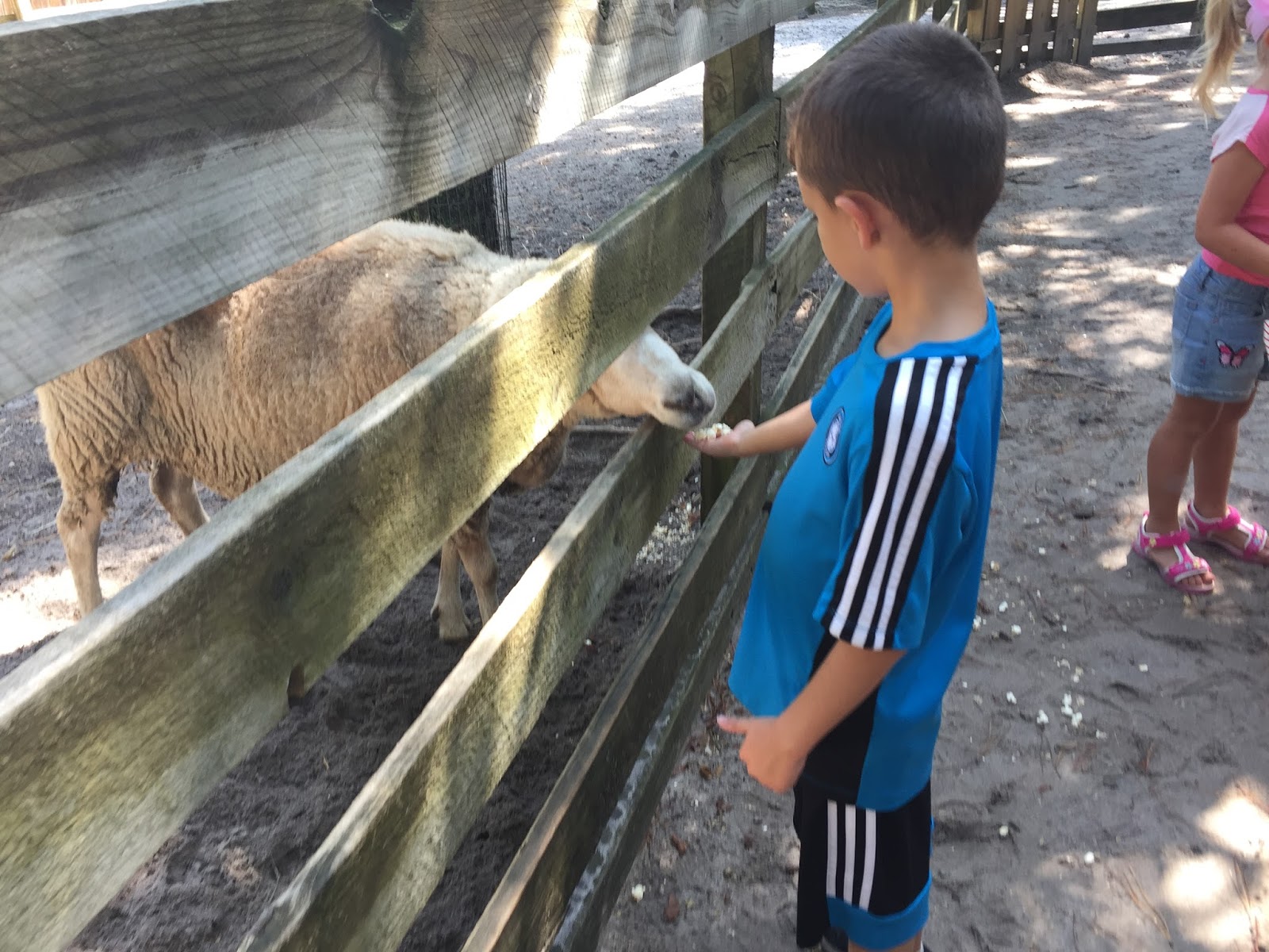 The Newman Family Popcorn Park Zoo