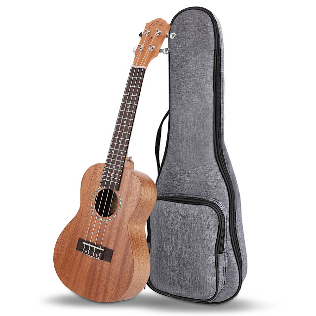 Ranch Concert Ukulele UK-23 Beginner Kits