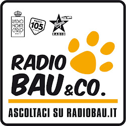 RadioBau & Co.